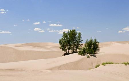 wr Desert-Sands Idaho