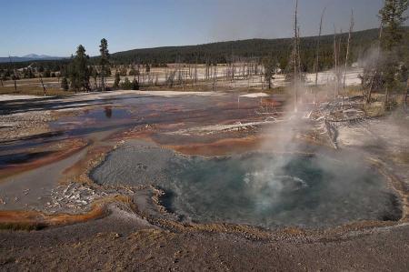 YellowstoneDSC 0978