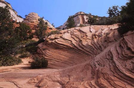 wr Zion-Sandstone