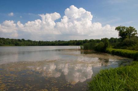 wr Potato-Creek-State-Park st-joseph